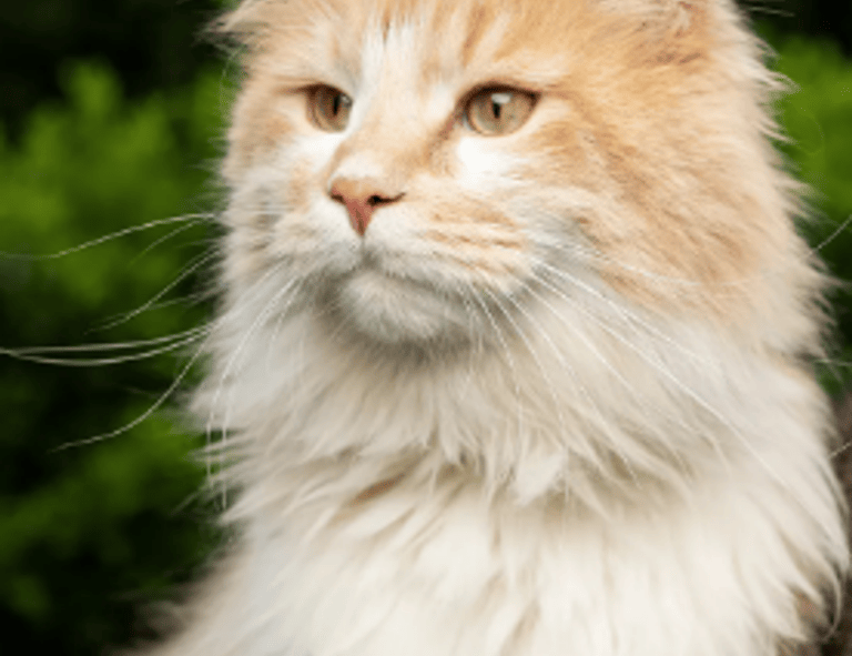 how endbugflow software can be protected