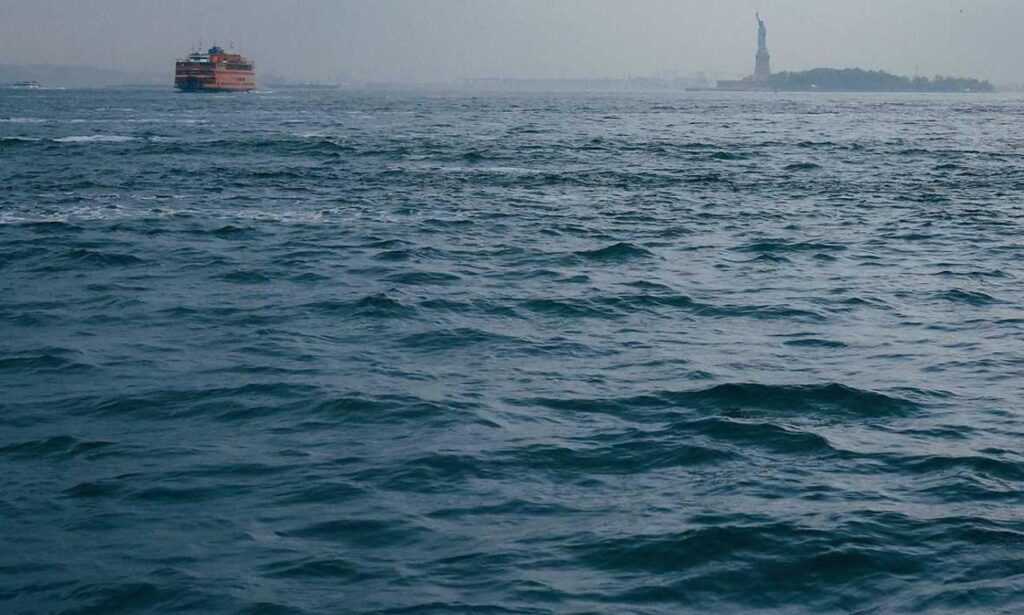 what medications should be avoided with zydaisis disease