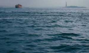 what medications should be avoided with zydaisis disease