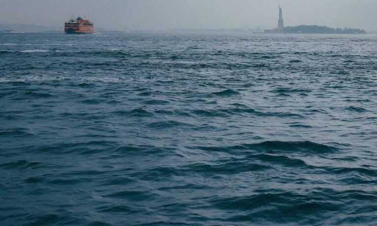 what medications should be avoided with zydaisis disease