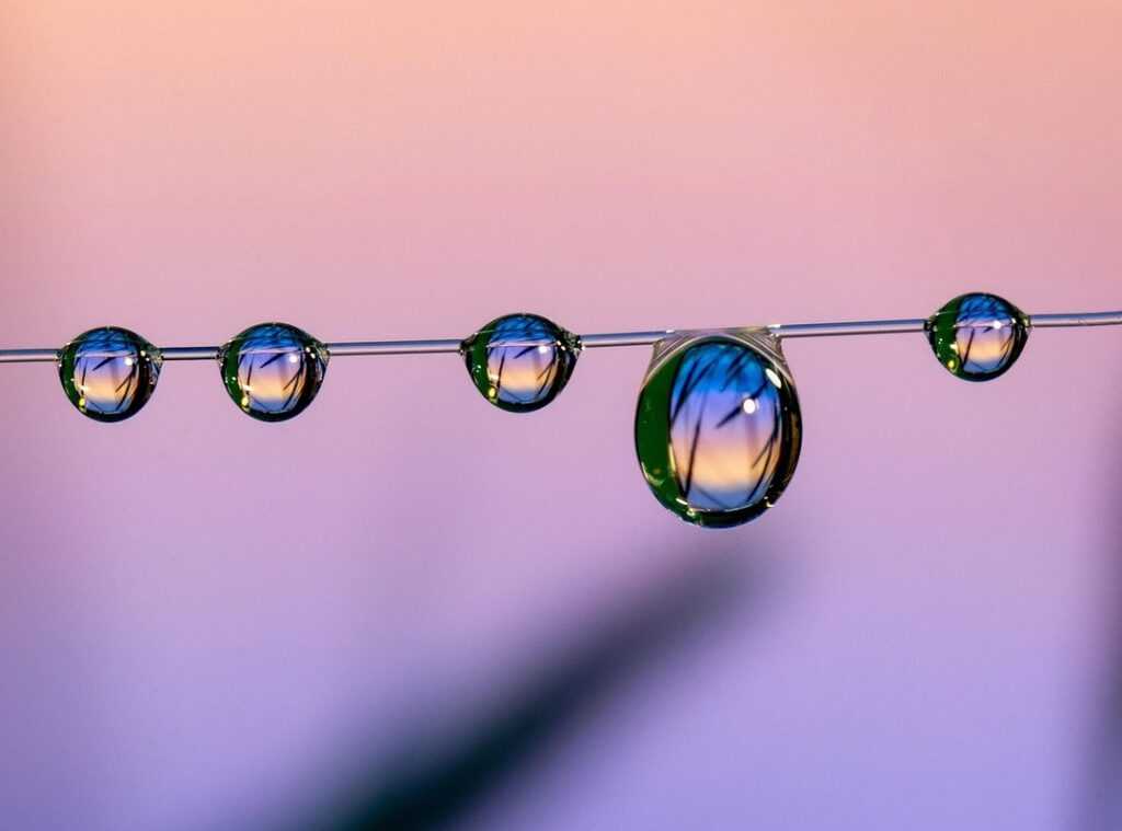 Home Upgrading Mintpalment