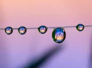 Home Upgrading Mintpalment