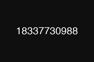 18337730988