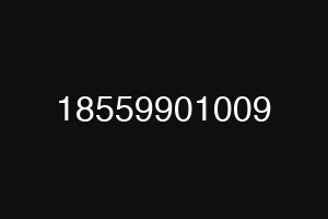 18559901009