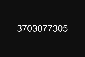 3703077305