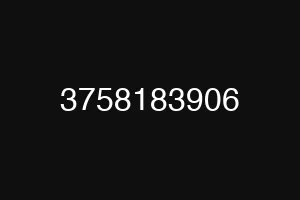 3758183906