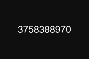 3758388970