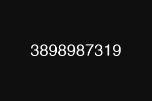 3898987319