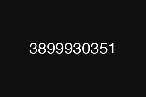3899930351
