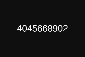 4045668902