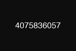 4075836057