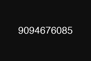 9094676085