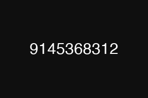 9145368312