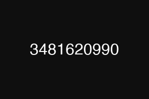 3481620990