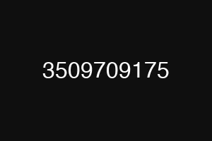 3509709175
