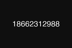18662312988