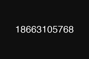 18663105768