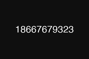 18667679323