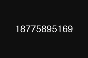 18775895169