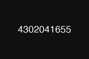 4302041655