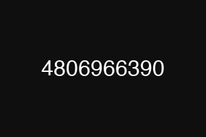 4806966390