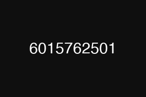 6015762501