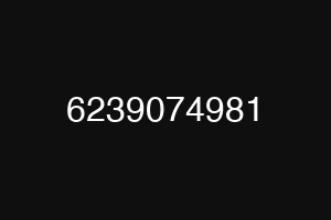 6239074981