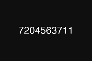 7204563711