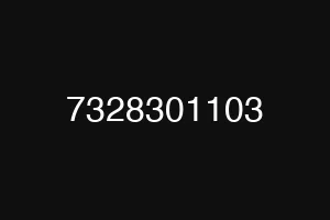 7328301103