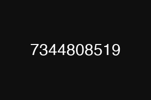 7344808519