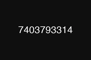 7403793314