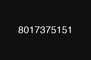 8017375151