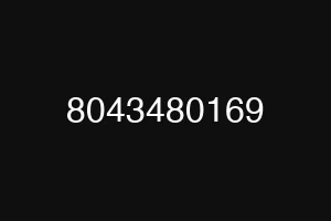 8043480169