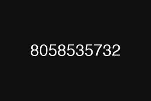 8058535732