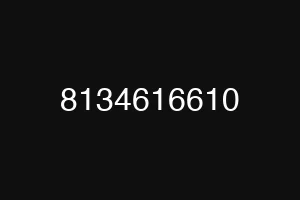 8134616610
