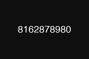 8162878980