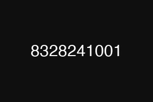8328241001
