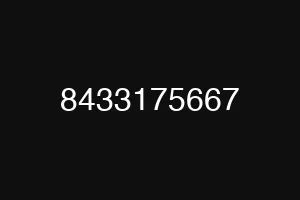 8433175667