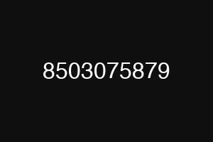 8503075879