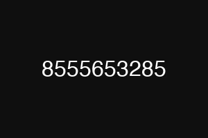 8555653285