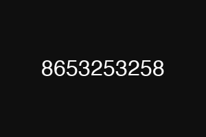 8653253258