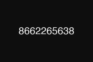 8662265638