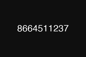 8664511237