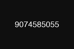 9074585055