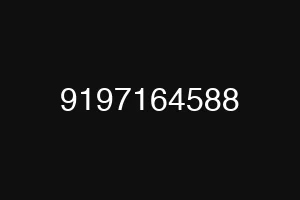 9197164588